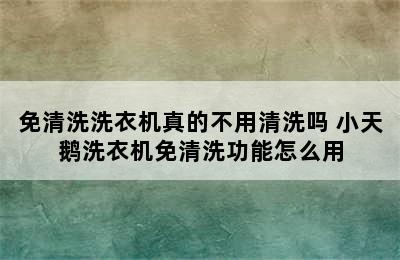 免清洗洗衣机真的不用清洗吗 小天鹅洗衣机免清洗功能怎么用